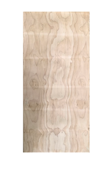 PLY UT B/GRADE 2400 X 1200 21mm THICK