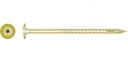 [110764] SCREW PAN SKARA TORX M10 x 100mm LOOSE